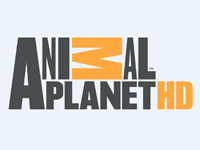 Animal Planet      -  HD-